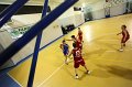 Basket 443117